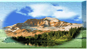 title5.gif (10208 bytes)